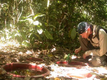 researcher checking poos for tadpoles and insects