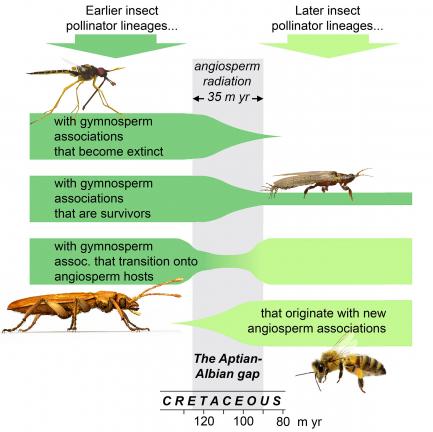 poster showing research conclusions