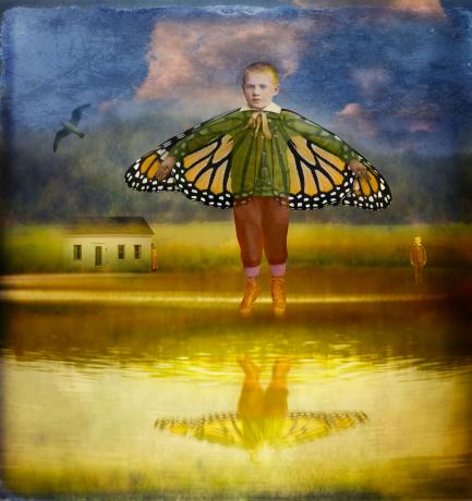 boy butterfly wings art