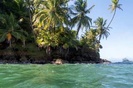 Water surrounds a cliff of trees
