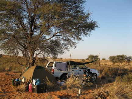 Camp on savannah under tree