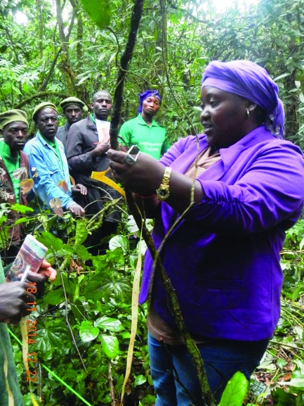 Black woman dressed in purple takes measurements with crew of associates inbackground
