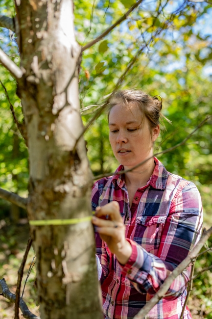 Jamie Pullen measures a tree trunk