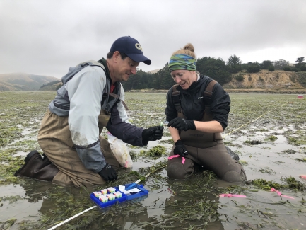 Two people crouch in marshland to observe a scientific sample
