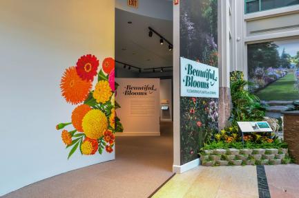 Exhibition hall for Beautiful Blooms exhibition