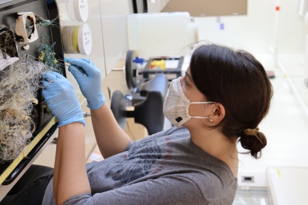 Person wearing protective gear in lab leans over science experiment