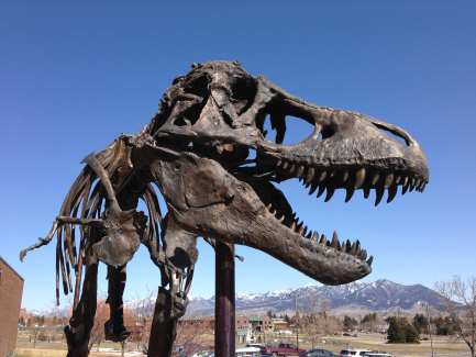 T. rex
