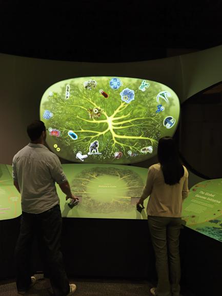 Genome exhibit