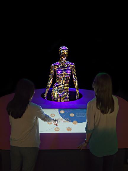 Genome exhibit