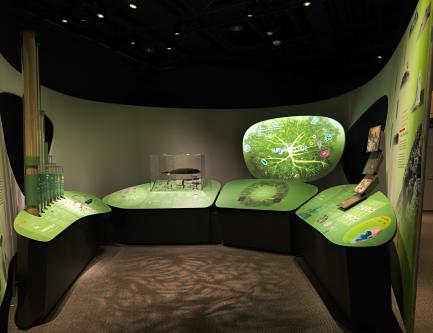 Genome exhibit