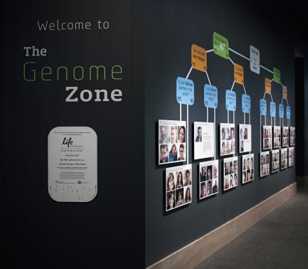 Genome exhibit