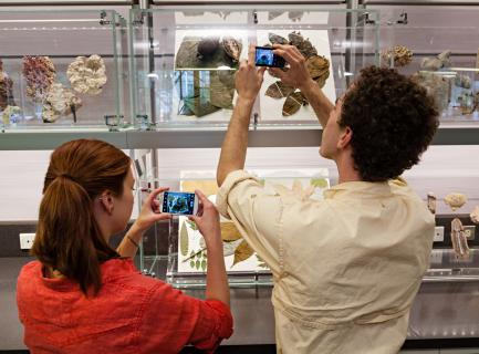 Q?rius - Museum Specimens