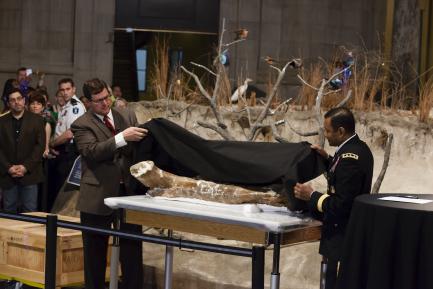 Unveiling
