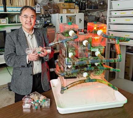 Scientists with ant farm