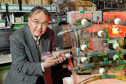 Curator with Ant Farm