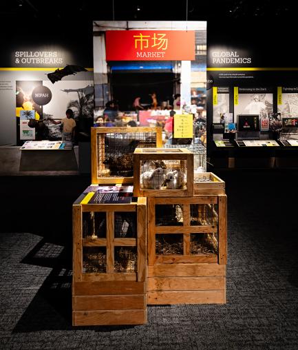 mock up of food market