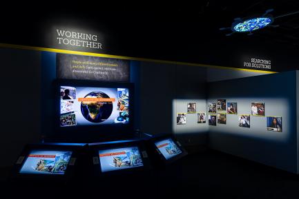 Outbreak exhibition
