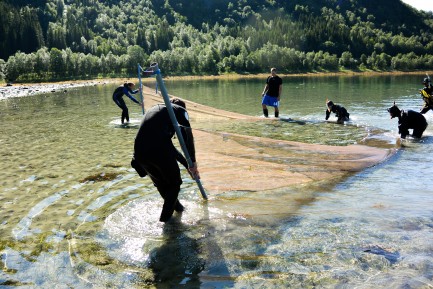 Team dragging net in shallow water