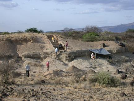 excavation site