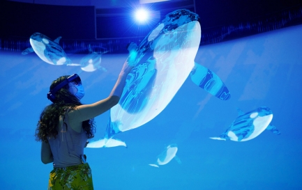 Person interacting with augmented reality of an orca