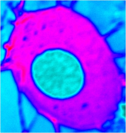 False color photo of carbon