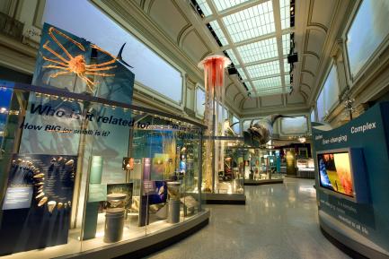 Exhibition Hall
