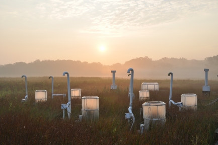 Sunrise over marshlands