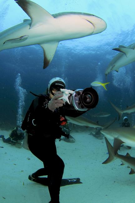 Still from Shark Girl