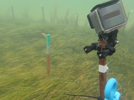 Underwater camera