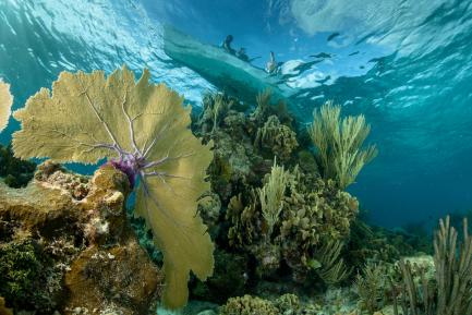 Coral reef with fishermen above