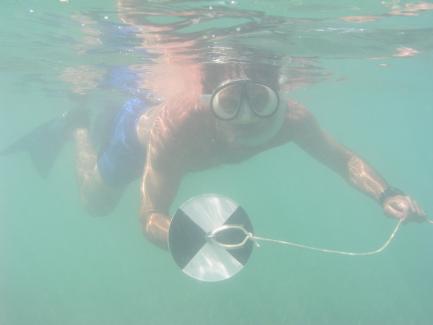 Diver taking readings
