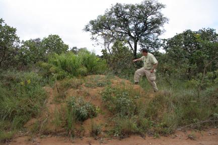 Ted Schultz in the field
