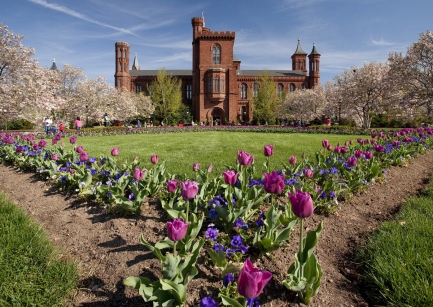 garden and Castle
