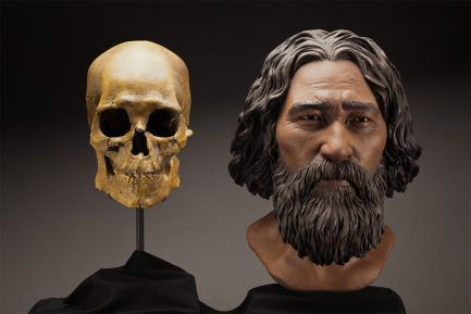 Sculpted bust