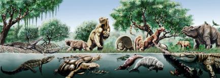Artists rendering of dinosaurs