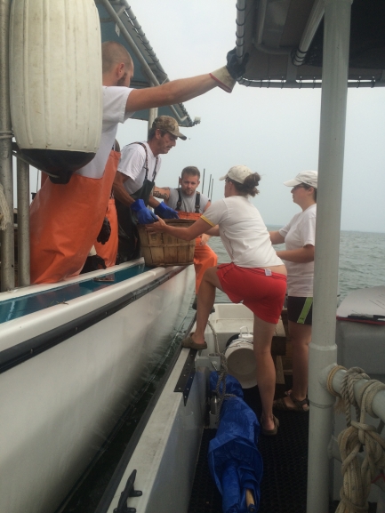 Person climbs between two boats 