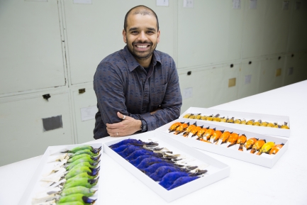 Man sits at table in front of colorful bird specimen