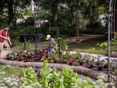 Man, and women working in the garden